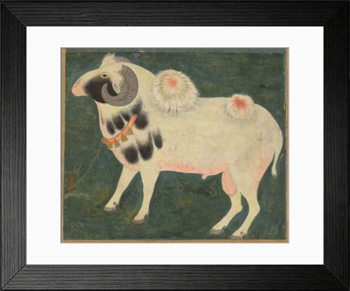 Framed Print : A royal ram with a gold chain, c. 1585; border added probably 1700s. Creator: Unknown Framed Print : A royal ram with a gold chain, c. 1585; border added probably 1700s. Creator: Unknown