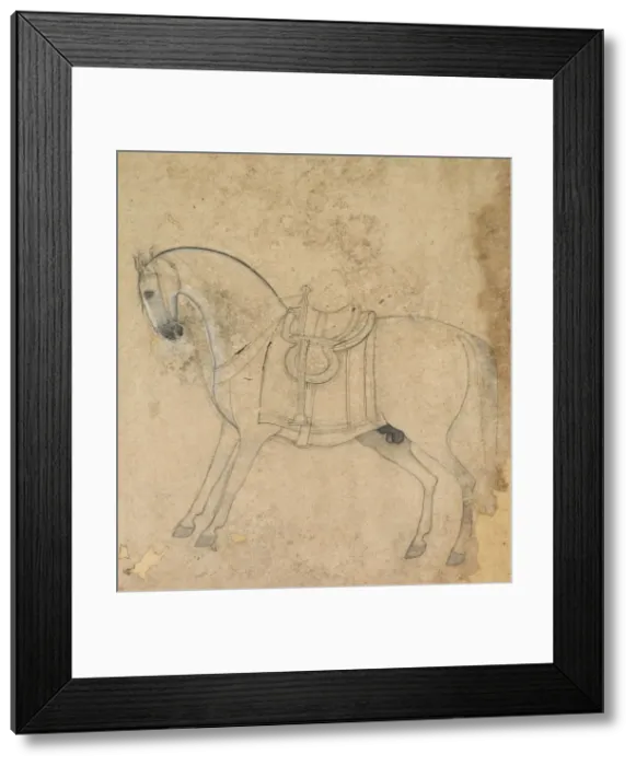 Framed Print : A Saddled Horse, c. 1750. Creator: Unknown Framed Print : A Saddled Horse, c. 1750. Creator: Unknown