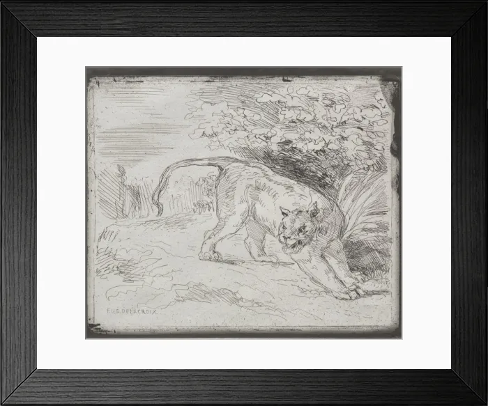 Framed Print : A Trapped Tiger, 1854. Creator: Eugene Delacroix (French, 1798-1863) Framed Print : A Trapped Tiger, 1854. Creator: Eugene Delacroix (French, 1798-1863)