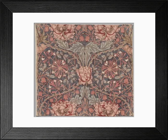 Framed Print : Honeysuckle, Early 20th century. Creator: William Morris (British, 1834-1896) Framed Print : Honeysuckle, Early 20th century. Creator: William Morris (British, 1834-1896)