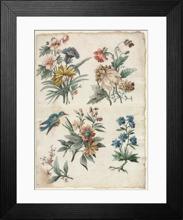 Framed Print : Floral Designs with a Blue Bird, c. 1773 / 74. Creator: Giacomo Cavenezia (Italian) Framed Print : Floral Designs with a Blue Bird, c. 1773 / 74. Creator: Giacomo Cavenezia (Italian)