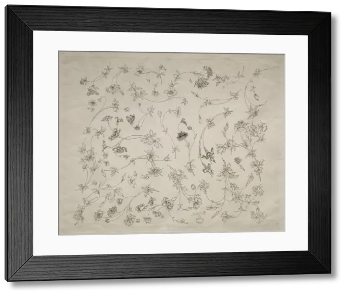 Framed Print : Flower designs for plates and borders (no. 14), 1872. Creator: Felix Bracquemond (French Framed Print : Flower designs for plates and borders (no. 14), 1872. Creator: Felix Bracquemond (French