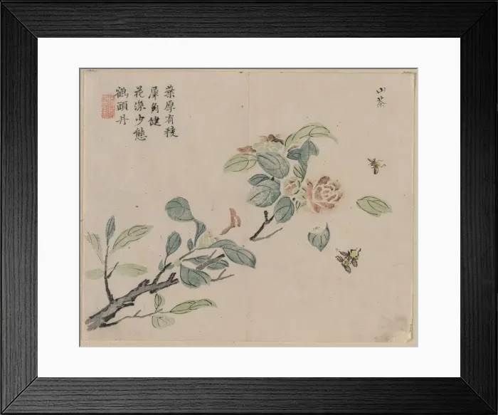 Framed Print : Flowering Branch with Bees, 18th Century. Creator: Unknown Framed Print : Flowering Branch with Bees, 18th Century. Creator: Unknown