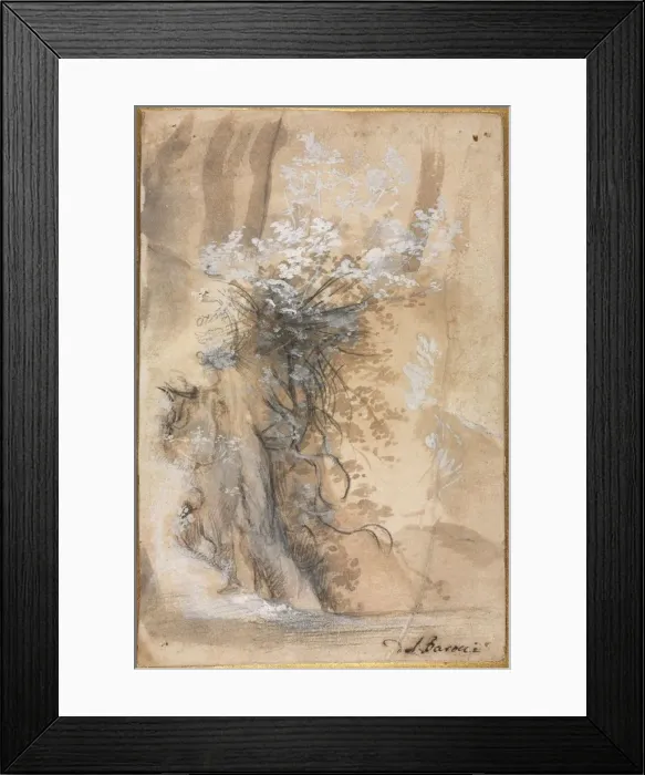 Framed Print : Flowering Bush above an Eroded Bank, 1565-1570. Creator: Federico Barocci (Italian, 1528-1612) Framed Print : Flowering Bush above an Eroded Bank, 1565-1570. Creator: Federico Barocci (Italian, 1528-1612)