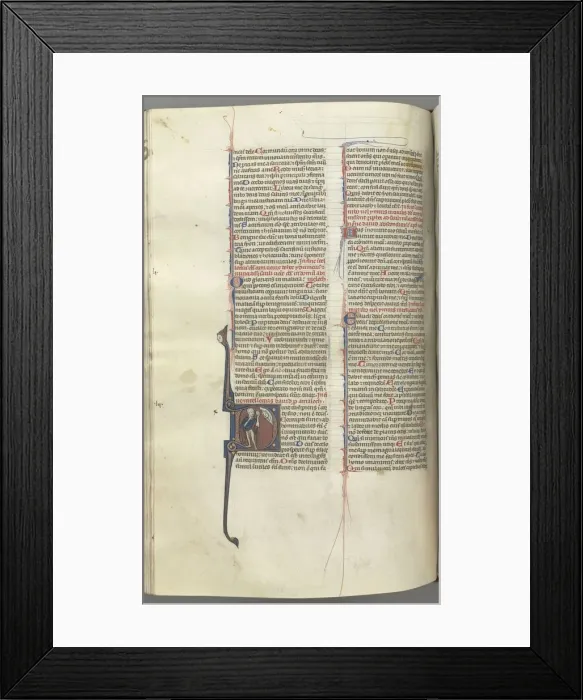 Framed Print : Fol. 222v, Psalm 52, historiated initial D, a fool naked but for a cloak, holding a bladder Framed Print : Fol. 222v, Psalm 52, historiated initial D, a fool naked but for a cloak, holding a bladder