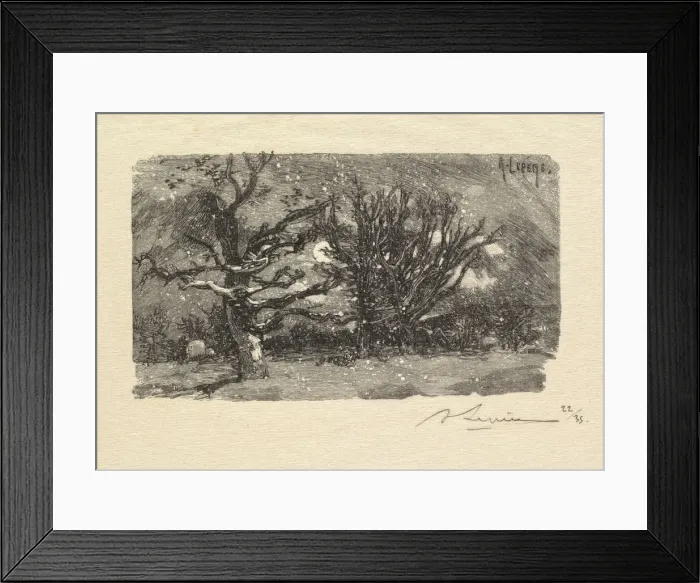 Framed Print : Fontainebleau Forest: Au dormoir de Lantara (La Foret de Fontainebleau: Au dormoir Framed Print : Fontainebleau Forest: Au dormoir de Lantara (La Foret de Fontainebleau: Au dormoir