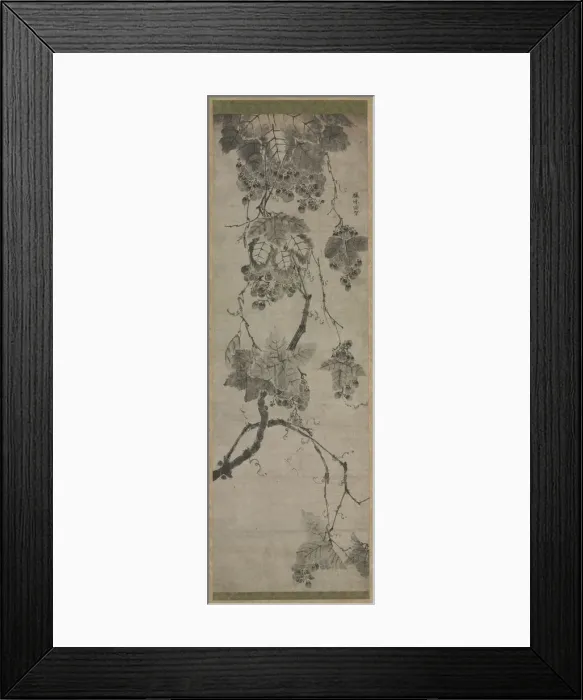 Framed Print : Grapes, 1700s. Creator: Unknown Framed Print : Grapes, 1700s. Creator: Unknown