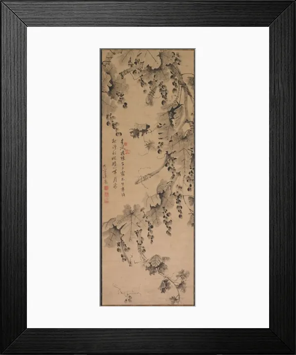 Framed Print : Grapevine, 1700s to 1800s. Creator: Unknown Framed Print : Grapevine, 1700s to 1800s. Creator: Unknown