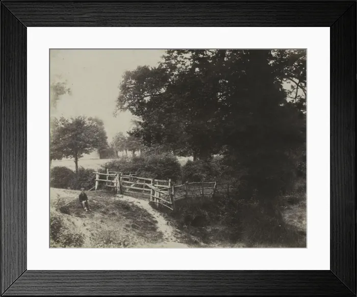 Framed Print : Green Meadows, 1854. Creator: George Shadbolt (British, 1819-1901); Photographic Exchange Club Framed Print : Green Meadows, 1854. Creator: George Shadbolt (British, 1819-1901); Photographic Exchange Club
