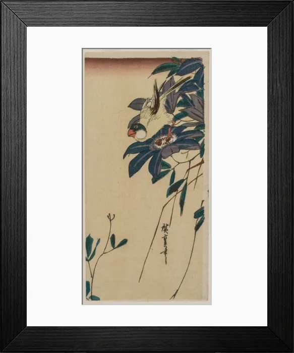 Framed Print : Grosbeak and Clematis, mid-1830s. Creator: Ando Hiroshige (Japanese, 1797-1858) Framed Print : Grosbeak and Clematis, mid-1830s. Creator: Ando Hiroshige (Japanese, 1797-1858)