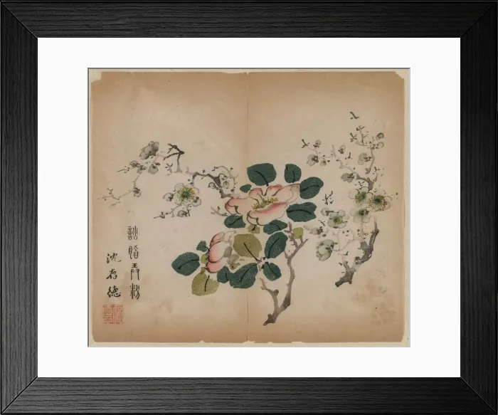 Framed Print : Flowering Prunus, 1368-1644. Creator: Unknown Framed Print : Flowering Prunus, 1368-1644. Creator: Unknown
