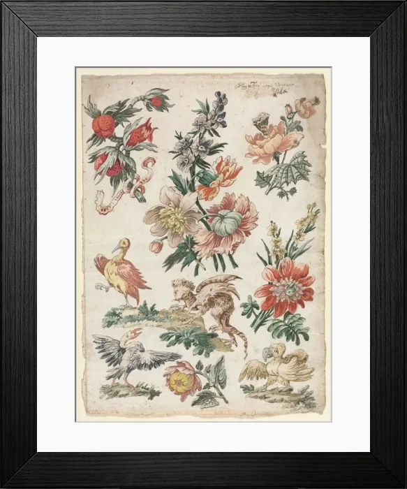 Framed Print : Floral Designs with Birds and Griffon, 1784. Creator: Giacomo Cavenezia (Italian) Framed Print : Floral Designs with Birds and Griffon, 1784. Creator: Giacomo Cavenezia (Italian)