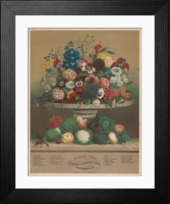 Framed Print : Flowers and Vegetables, 1800s. Creator: Anton Carl Rahn (American, born Germany, 1842-1907) Framed Print : Flowers and Vegetables, 1800s. Creator: Anton Carl Rahn (American, born Germany, 1842-1907)