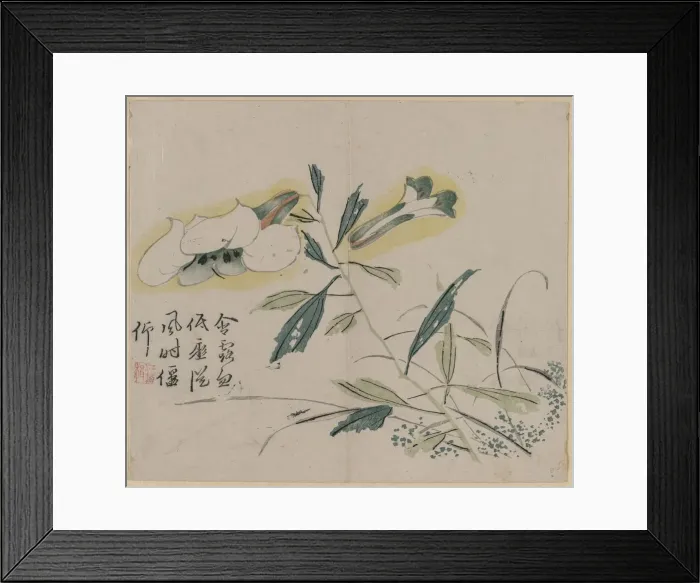 Framed Print : Flowering Lily, 18th Century. Creator: Unknown Framed Print : Flowering Lily, 18th Century. Creator: Unknown