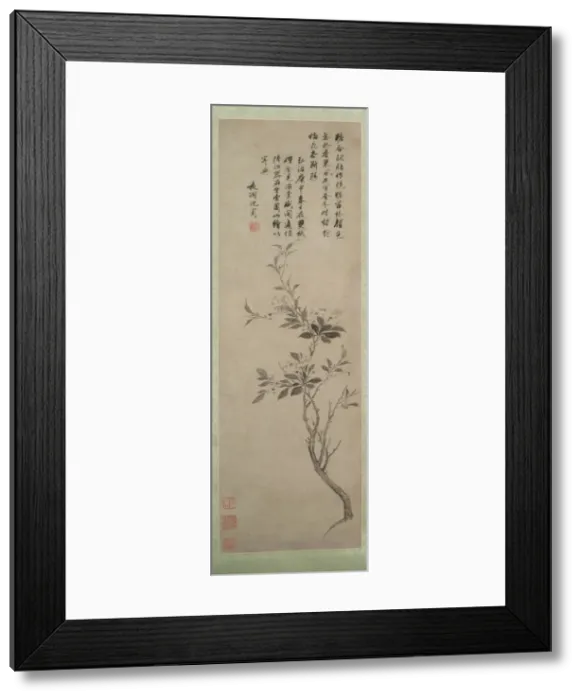 Framed Print : Flowering Crab Apple, 1500. Creator: Shen Zhou (Chinese, 1427-1509) Framed Print : Flowering Crab Apple, 1500. Creator: Shen Zhou (Chinese, 1427-1509)