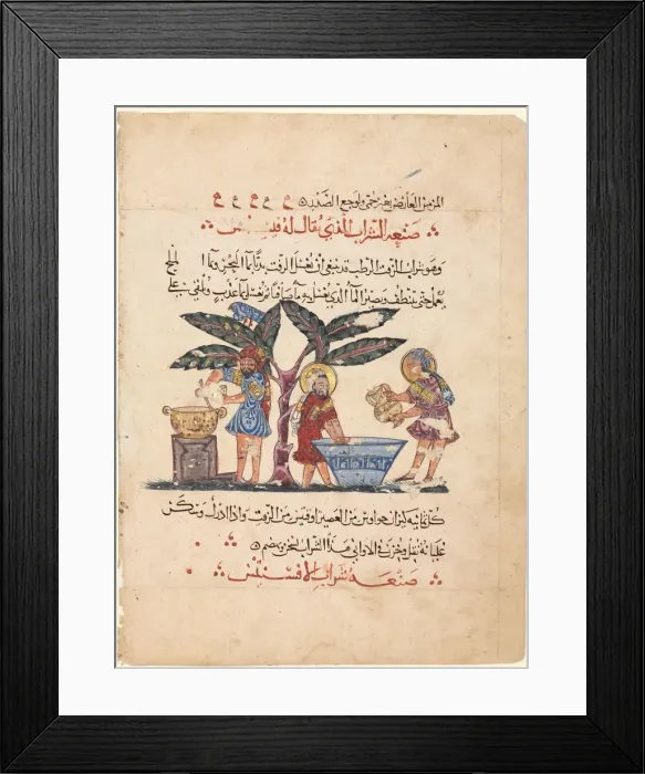 Framed Print : Folio from an Arabic translation of the Materia Medica of Dioscorides, 1224. Creator Framed Print : Folio from an Arabic translation of the Materia Medica of Dioscorides, 1224. Creator