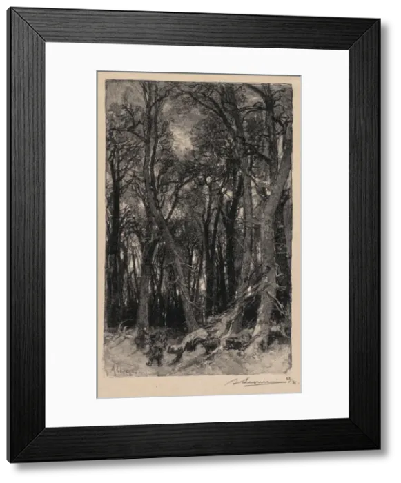 Framed Print : Fontainebleau Forest: Bas-Breau (La Foret de Fontainebleau: Le Bas-Breau), 1890 Framed Print : Fontainebleau Forest: Bas-Breau (La Foret de Fontainebleau: Le Bas-Breau), 1890