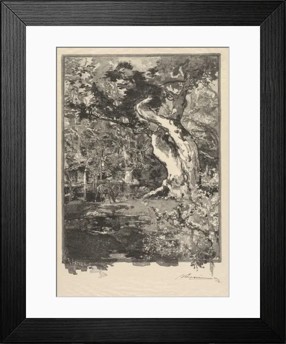Framed Print : Fontainebleau Forest: Le Clovis, Plateau de Bellecroix (La Foret de Fontainebleau Framed Print : Fontainebleau Forest: Le Clovis, Plateau de Bellecroix (La Foret de Fontainebleau