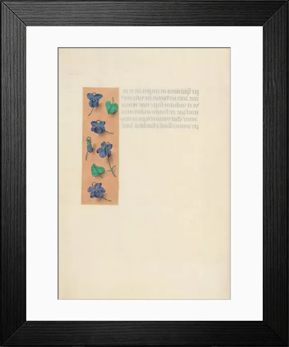 Framed Print : Hours of Queen Isabella the Catholic, Queen of Spain: Fol. 16v, Short Border…, c Framed Print : Hours of Queen Isabella the Catholic, Queen of Spain: Fol. 16v, Short Border…, c