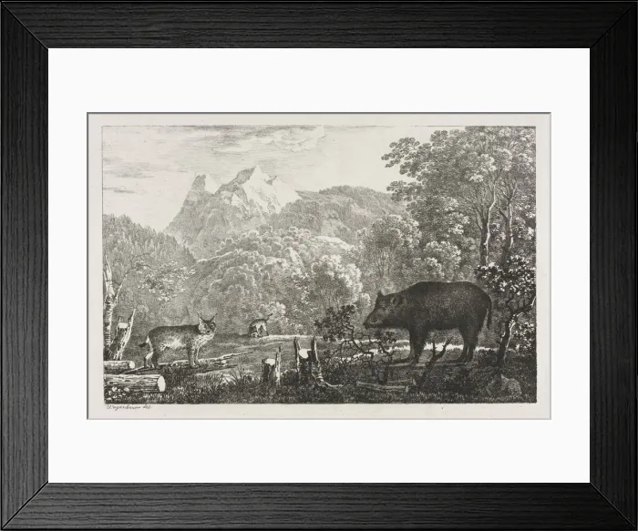 Framed Print : Wild Boar, Wildcat and Lynx, 1807. Creator: Maximilian Josef Wagenbauer (German, 1774-1829) Framed Print : Wild Boar, Wildcat and Lynx, 1807. Creator: Maximilian Josef Wagenbauer (German, 1774-1829)