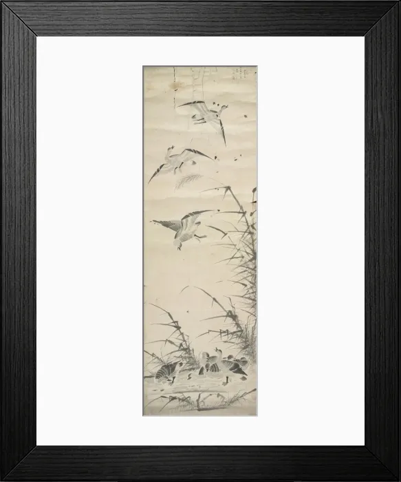 Framed Print : Wild Geese and Reeds, 1392-1910. Creator: Unknown Framed Print : Wild Geese and Reeds, 1392-1910. Creator: Unknown