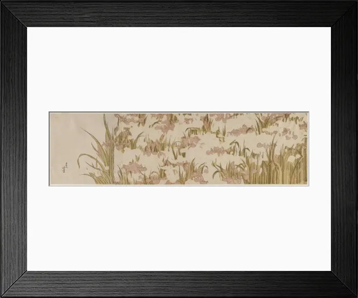 Framed Print : White and Purple Irises, early 1800s. Creator: Katsushika Hokusai (Japanese, 1760-1849) Framed Print : White and Purple Irises, early 1800s. Creator: Katsushika Hokusai (Japanese, 1760-1849)
