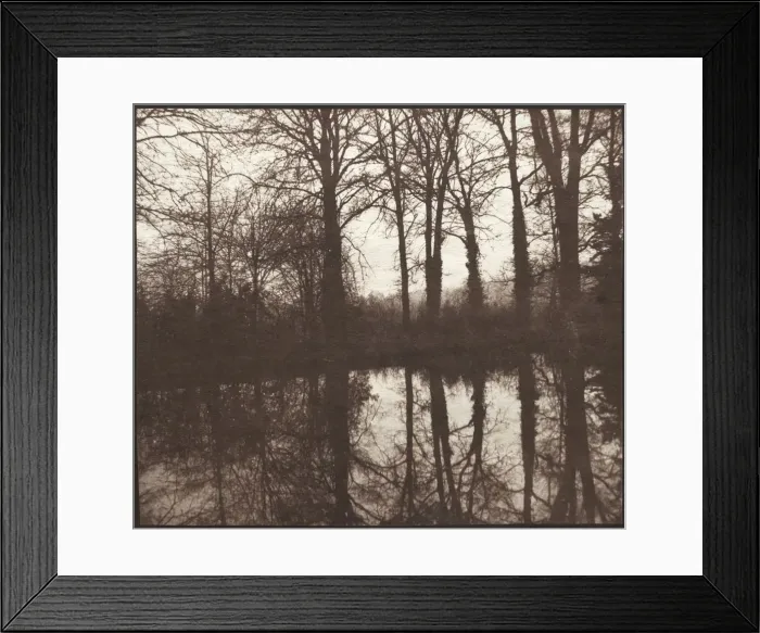 Framed Print : Winter Trees Reflected in a Pond, 1841-42. Creator: William Henry Fox Talbot (British, 1800-1877) Framed Print : Winter Trees Reflected in a Pond, 1841-42. Creator: William Henry Fox Talbot (British, 1800-1877)