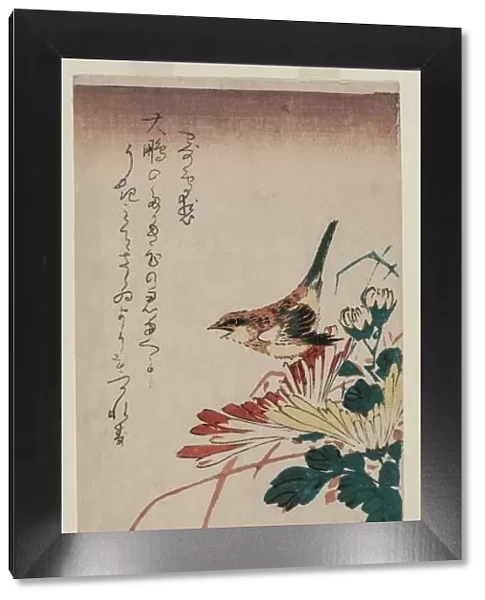Warbler and Chrysanthemums, mid 1830s. Creator: Ando Hiroshige (Japanese, 1797-1858)