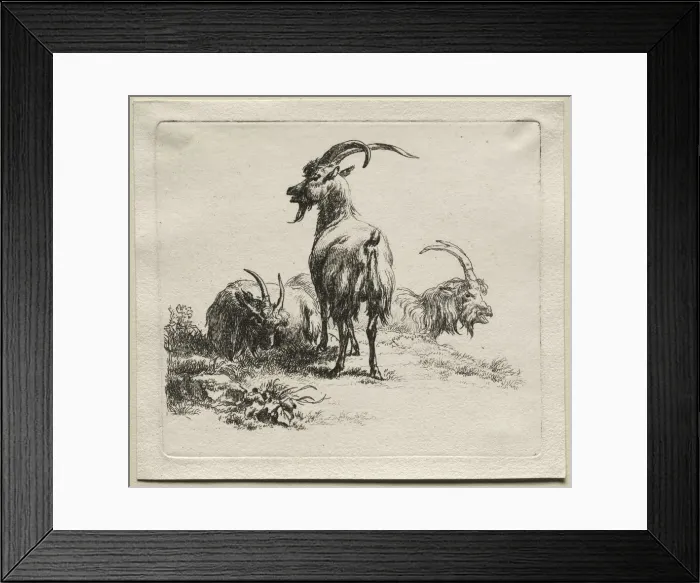 Framed Print : Three Goats. Creator: Nicolaes Berchem (Dutch, 1620-1683) Framed Print : Three Goats. Creator: Nicolaes Berchem (Dutch, 1620-1683)