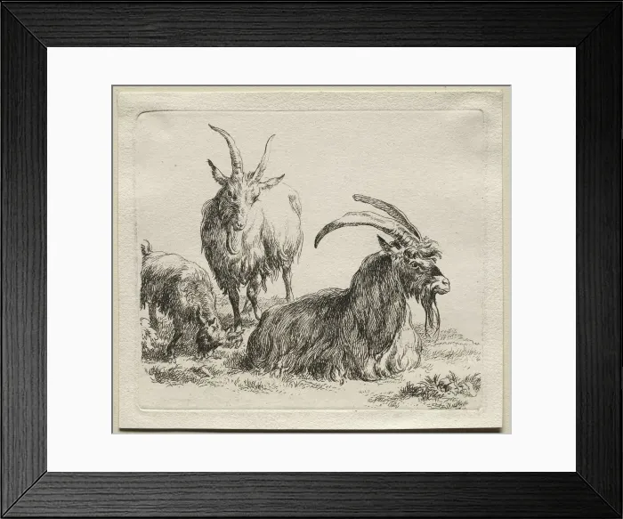 Framed Print : Three Goats. Creator: Nicolaes Berchem (Dutch, 1620-1683) Framed Print : Three Goats. Creator: Nicolaes Berchem (Dutch, 1620-1683)