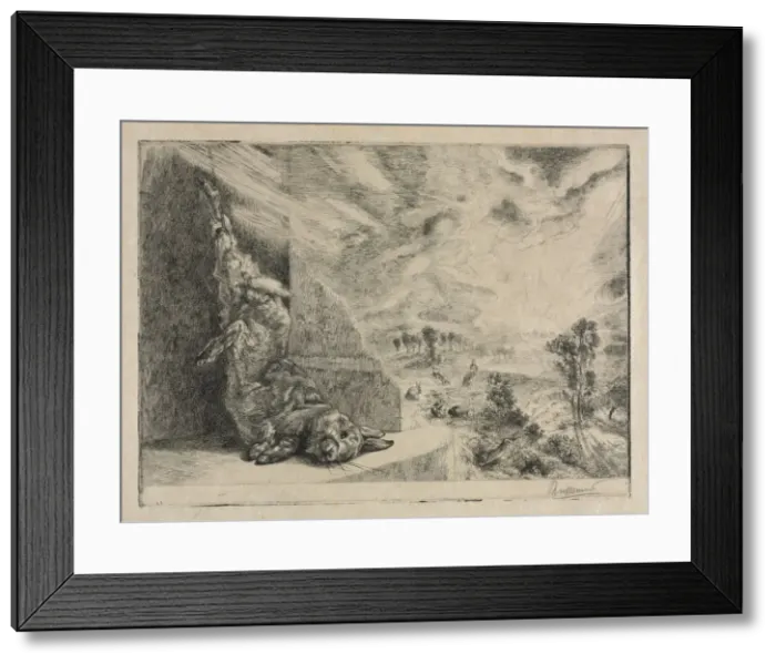 Framed Print : The Wild Rabbit, 1891. Creator: Felix Bracquemond (French, 1833-1914) Framed Print : The Wild Rabbit, 1891. Creator: Felix Bracquemond (French, 1833-1914)