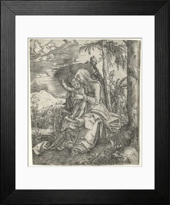 Framed Print : The Virgin in a Landscape, c. 1515. Creator: Albrecht Altdorfer (German, c. 1480-1538) Framed Print : The Virgin in a Landscape, c. 1515. Creator: Albrecht Altdorfer (German, c. 1480-1538)