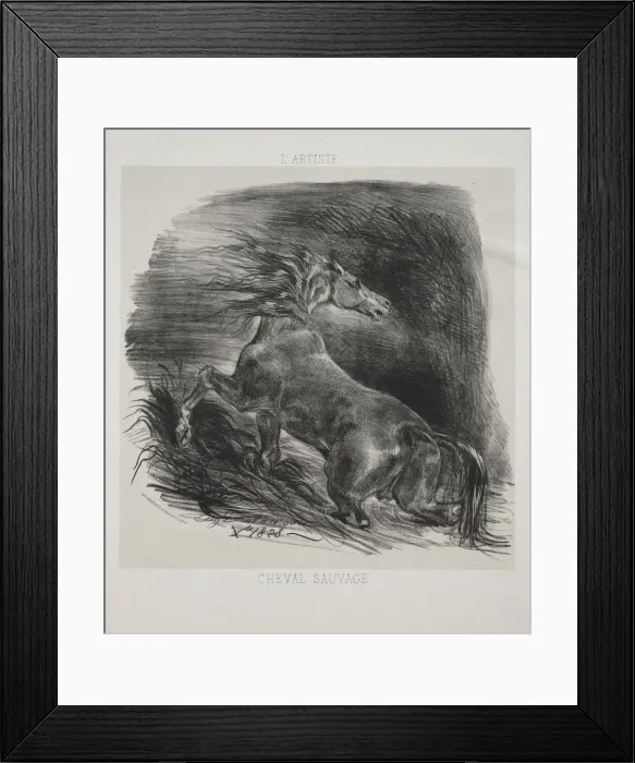 Framed Print : The Wild Horse, or Frightened Horse Leaving the Water, 1828. Creator: Eugene Delacroix Framed Print : The Wild Horse, or Frightened Horse Leaving the Water, 1828. Creator: Eugene Delacroix