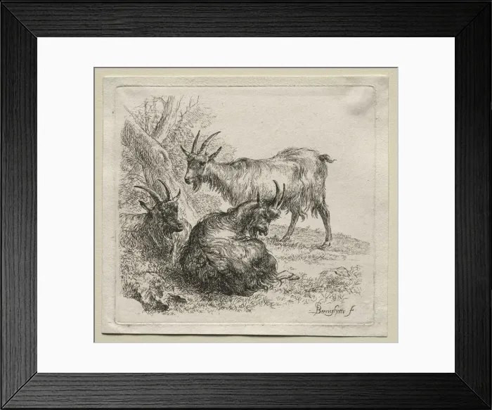 Framed Print : Three Goats. Creator: Nicolaes Berchem (Dutch, 1620-1683) Framed Print : Three Goats. Creator: Nicolaes Berchem (Dutch, 1620-1683)