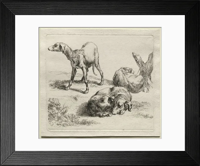 Framed Print : Three Hunting Dogs. Creator: Nicolaes Berchem (Dutch, 1620-1683) Framed Print : Three Hunting Dogs. Creator: Nicolaes Berchem (Dutch, 1620-1683)