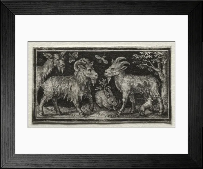 Framed Print : Goats and Hare, 1594. Creator: Nicolaes de Bruyn (Netherlandish, 1571-1656); A. van Londerseel Framed Print : Goats and Hare, 1594. Creator: Nicolaes de Bruyn (Netherlandish, 1571-1656); A. van Londerseel