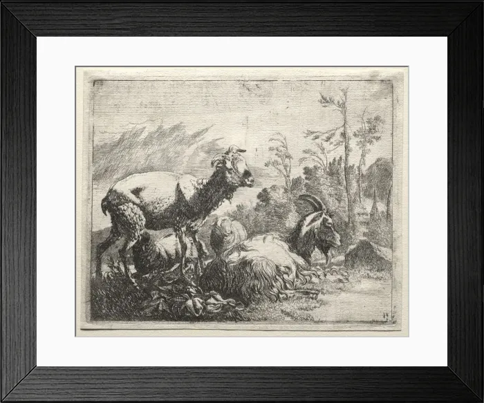 Framed Print : Goats, 1665. Creator: Johann Heinrich Roos (German, 1631-1685) Framed Print : Goats, 1665. Creator: Johann Heinrich Roos (German, 1631-1685)