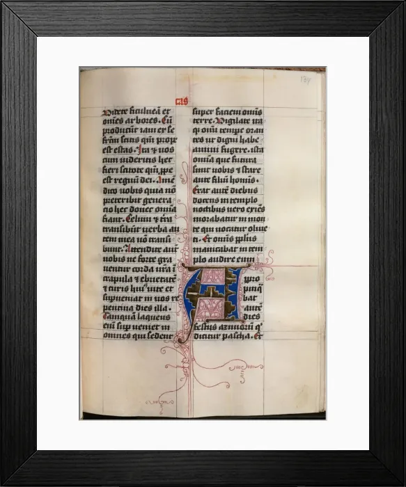 Framed Print : Gospel Book with Evangelist Portraits: Decorated Initial, c. 1480. Creator: Hausbuch Master Framed Print : Gospel Book with Evangelist Portraits: Decorated Initial, c. 1480. Creator: Hausbuch Master