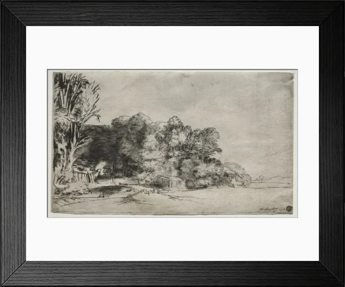 Framed Print : Clump of Trees with a Vista, 1652. Creator: Rembrandt van Rijn (Dutch, 1606-1669) Framed Print : Clump of Trees with a Vista, 1652. Creator: Rembrandt van Rijn (Dutch, 1606-1669)