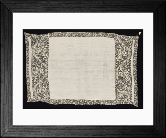 Framed Print : Cloth with Border of Vegetal Pattern, 19th century. Creator: Unknown Framed Print : Cloth with Border of Vegetal Pattern, 19th century. Creator: Unknown