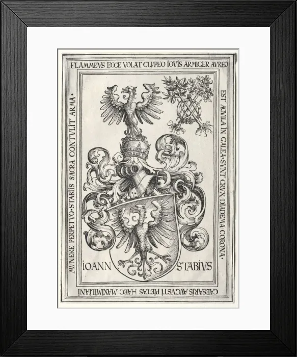 Framed Print : Coat of Arms of Johann Stabius. Creator: Wolf Traut (German, c. 1486-1520) Framed Print : Coat of Arms of Johann Stabius. Creator: Wolf Traut (German, c. 1486-1520)