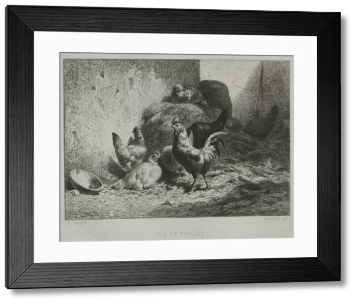 Framed Print : Cock and Hens. Creator: Charles-Emile Jacque (French, 1813-1894) Framed Print : Cock and Hens. Creator: Charles-Emile Jacque (French, 1813-1894)
