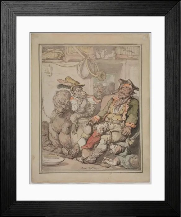 Framed Print : Comparative Anatomy Study, c. 1810-1820. Creator: Thomas Rowlandson (British, 1756-1827) Framed Print : Comparative Anatomy Study, c. 1810-1820. Creator: Thomas Rowlandson (British, 1756-1827)