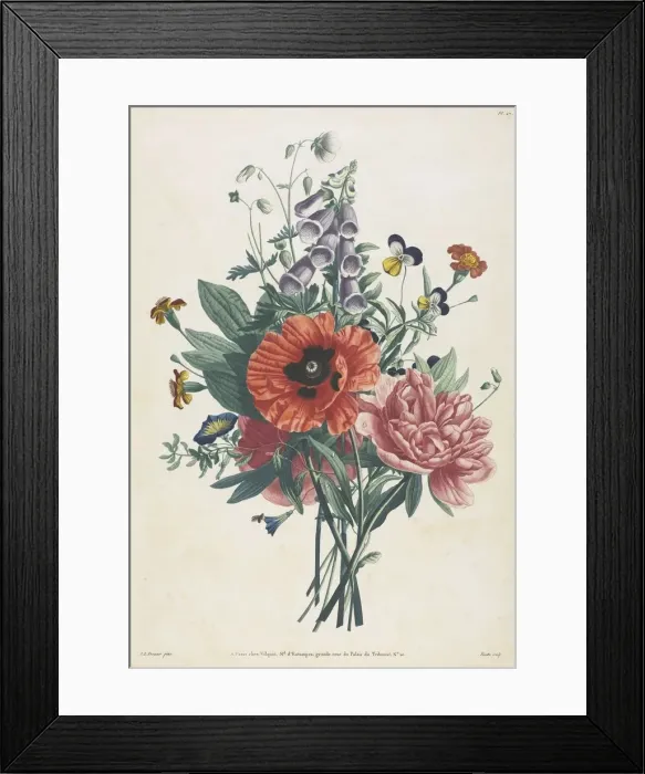 Framed Print : Collection of Flowers and Fruits Painted after Nature: Bouquet of Foxglove, Clematis Framed Print : Collection of Flowers and Fruits Painted after Nature: Bouquet of Foxglove, Clematis