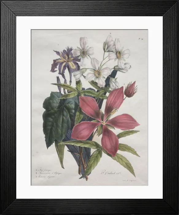 Framed Print : Cours dHistoire Naturelle, contenant les principales especes du regne animal… Framed Print : Cours dHistoire Naturelle, contenant les principales especes du regne animal…