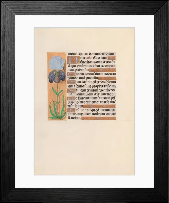 Framed Print : Hours of Queen Isabella the Catholic, Queen of Spain: Fol. 254v, c. 1500. Creator Framed Print : Hours of Queen Isabella the Catholic, Queen of Spain: Fol. 254v, c. 1500. Creator