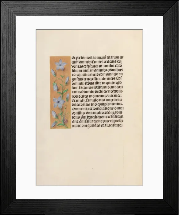 Framed Print : Hours of Queen Isabella the Catholic, Queen of Spain: Fol. 259v, c. 1500. Creator Framed Print : Hours of Queen Isabella the Catholic, Queen of Spain: Fol. 259v, c. 1500. Creator