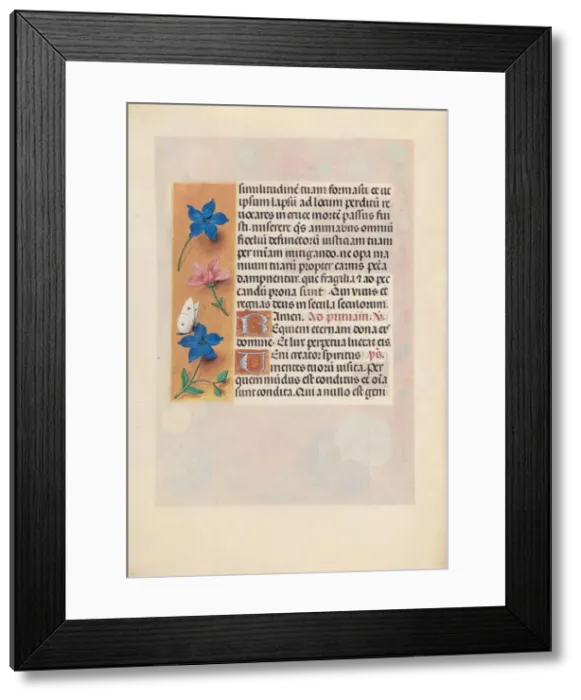 Framed Print : Hours of Queen Isabella the Catholic, Queen of Spain: Fol Framed Print : Hours of Queen Isabella the Catholic, Queen of Spain: Fol