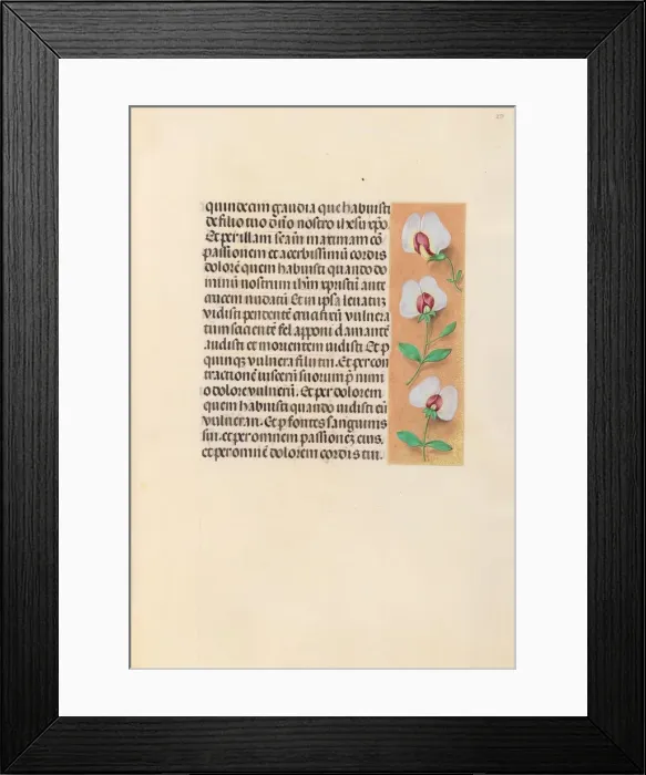 Framed Print : Hours of Queen Isabella the Catholic, Queen of Spain: Fol. 259r, c. 1500. Creator Framed Print : Hours of Queen Isabella the Catholic, Queen of Spain: Fol. 259r, c. 1500. Creator