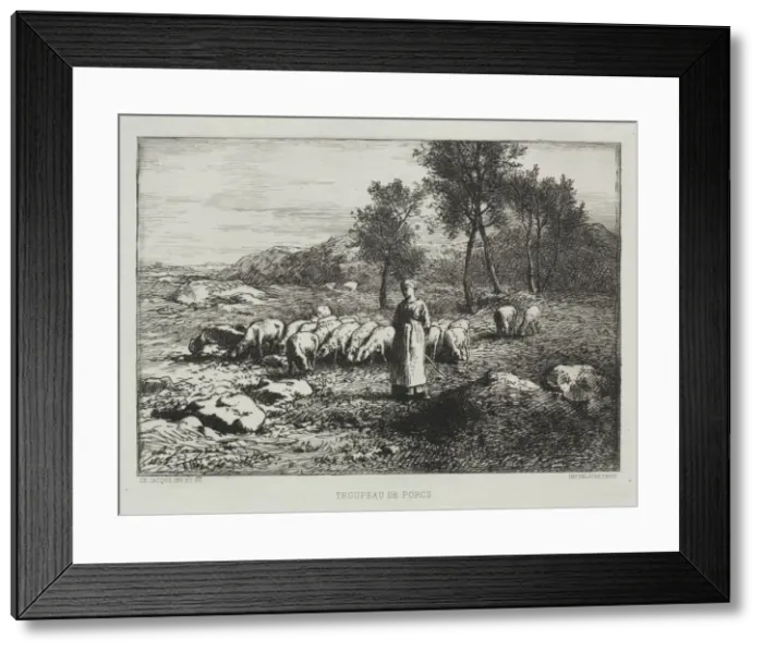 Framed Print : Herd of Swine, 1868. Creator: Charles-Emile Jacque (French, 1813-1894) Framed Print : Herd of Swine, 1868. Creator: Charles-Emile Jacque (French, 1813-1894)